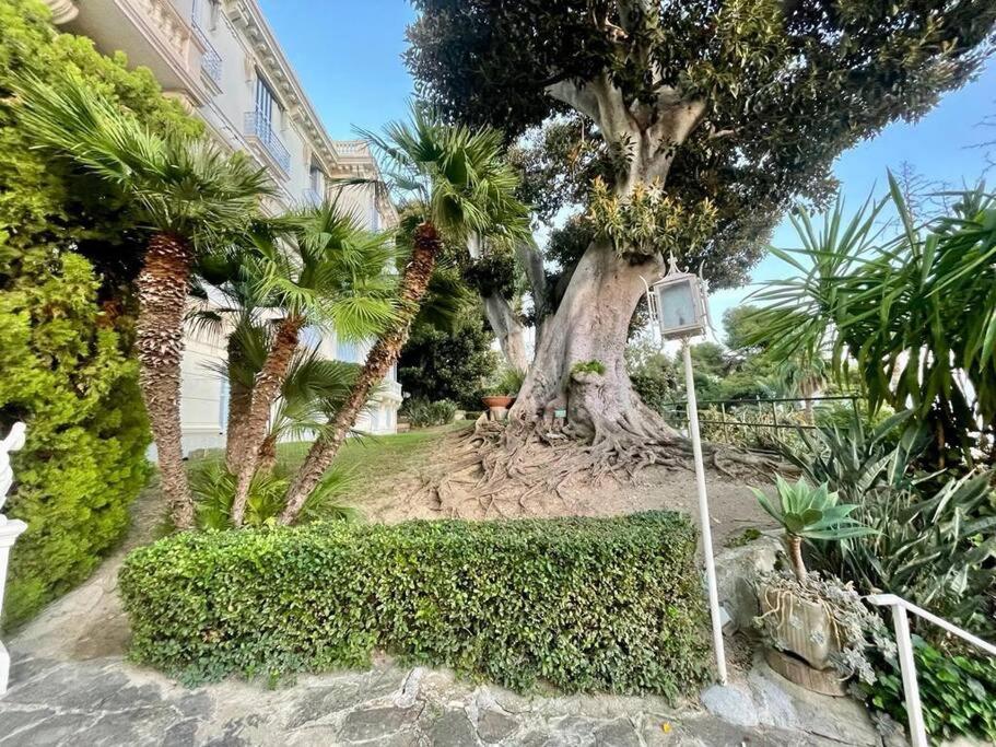 Suite Cavalieri Di Rodi 6 - Ospedaletti Eksteriør billede
